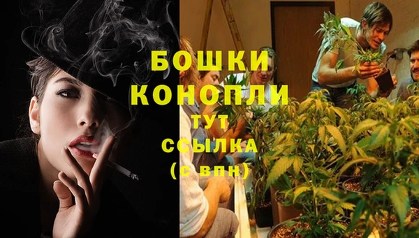 соль ск Нязепетровск